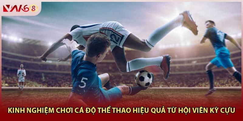 Kinh nghiệm chơi cá độ thể thao hiệu quả từ hội viên kỳ cựu