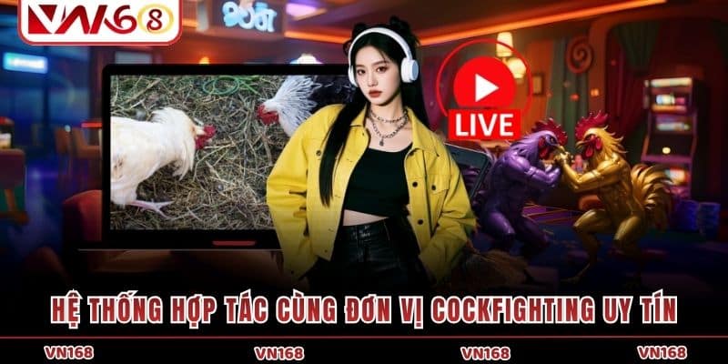 Hệ thống hợp tác cùng đơn vị Cockfighting uy tín