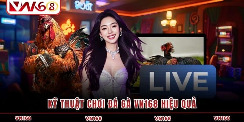 Kỹ thuật chơi đá gà VN168 hiệu quả