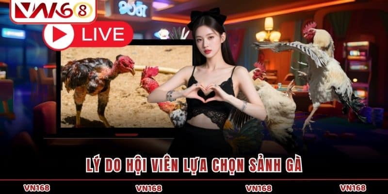 Lý do hội viên lựa chọn sảnh gà